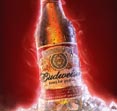 Gallery: thumbnails